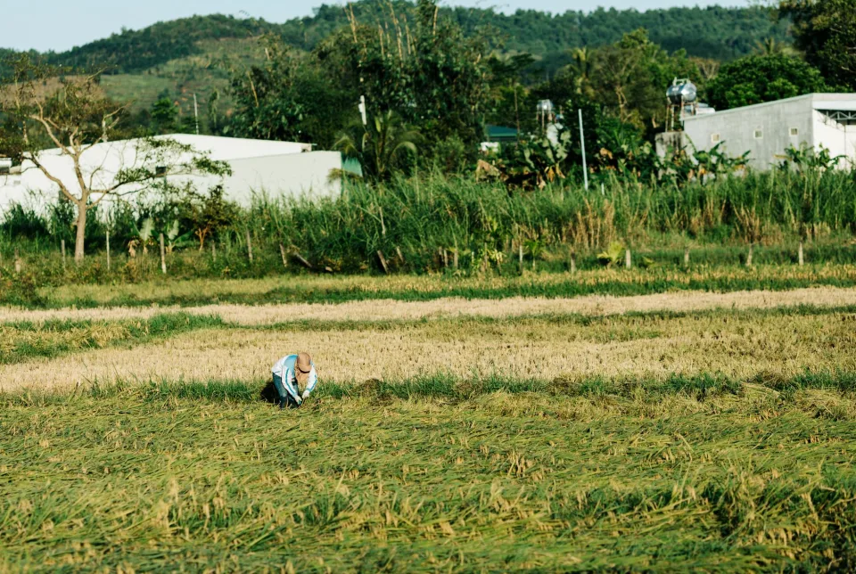 Kho gạo của Lê Văn Huân